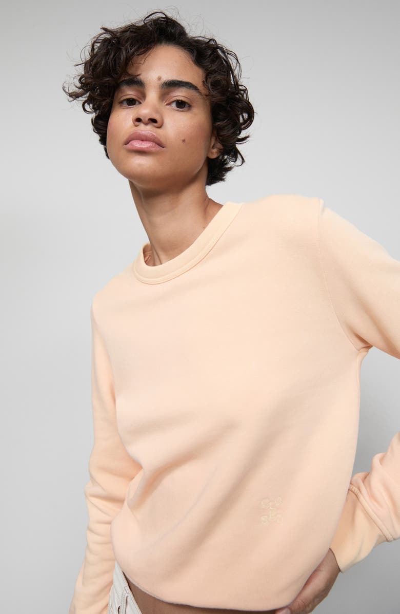 Closed Crewneck Organic Cotton Sweatshirt, Alternate, color, Albicocca