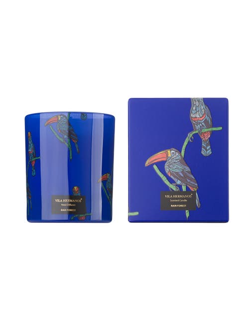 Vila Hermanos Vila Jungletropia Candle In Jar In Blue
