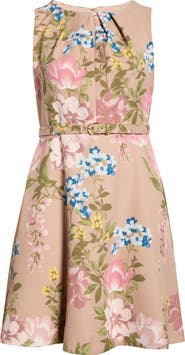 Tahari ASL Floral Belted Pleat Neck Dress