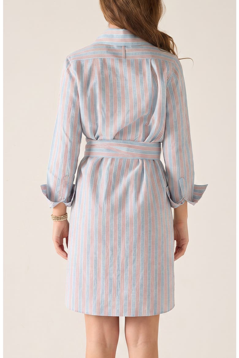 Charlie Short Shirt Dress, Alternate, color, Liberty Stripe