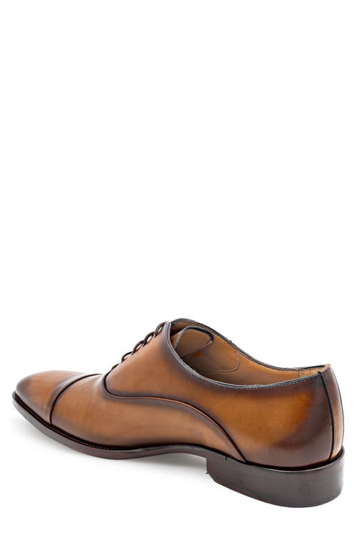 Mezlan Bocelli Cap Toe Oxford In Brown