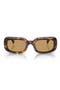 selected Havana / Brown
