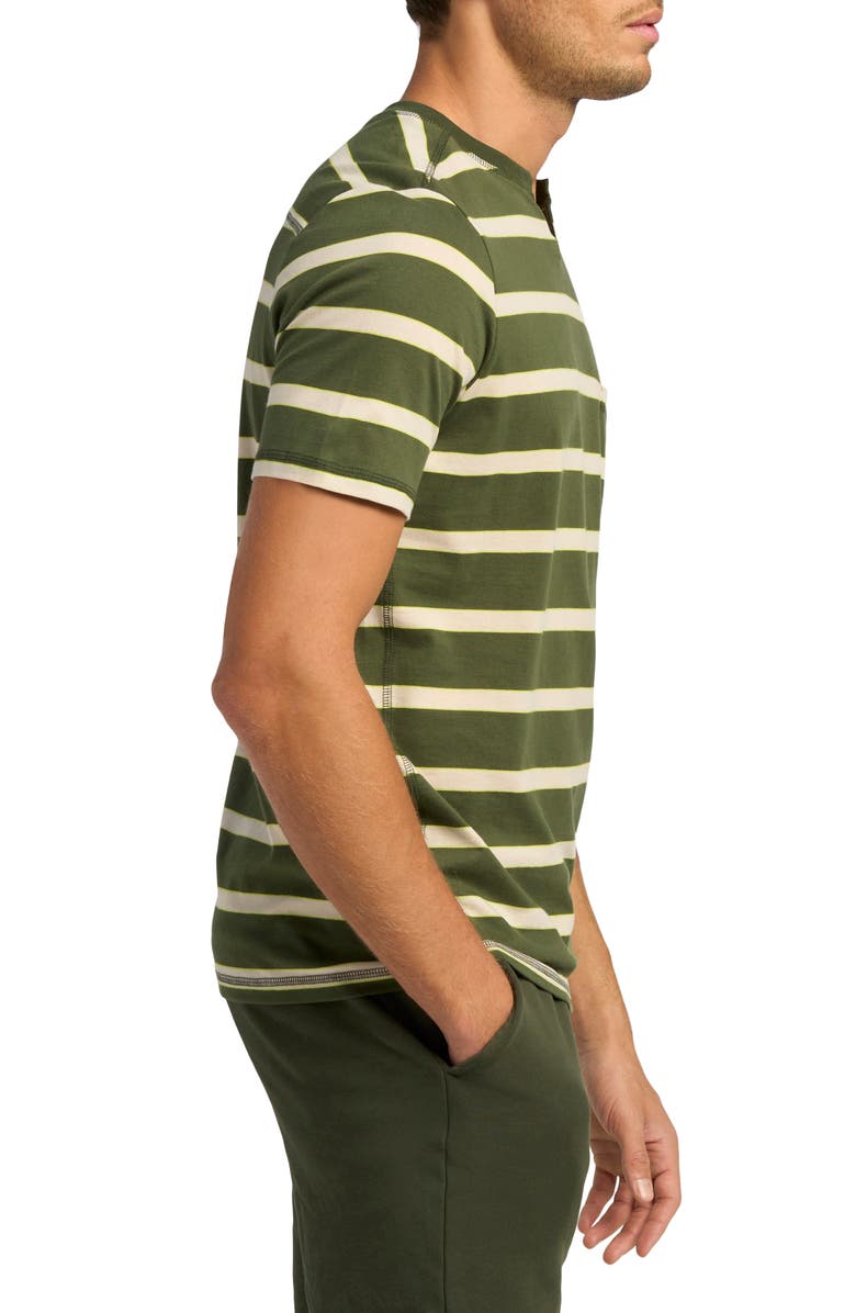 Good Man Brand Stripe Cotton Jersey T-Shirt, Alternate, color, Kombu Green Stripe