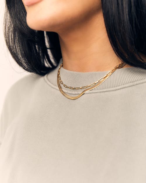 Electric Picks Python Necklace In Gold - 16"