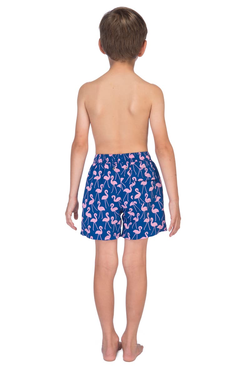 Kids' Flamingo Print Swim Trunks, Alternate, color, ROSE BLUE