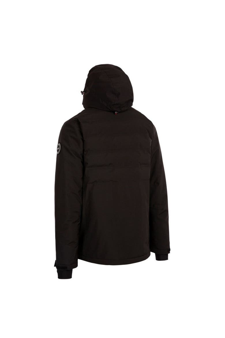 Randolph Ski Jacket, Alternate, color, Black