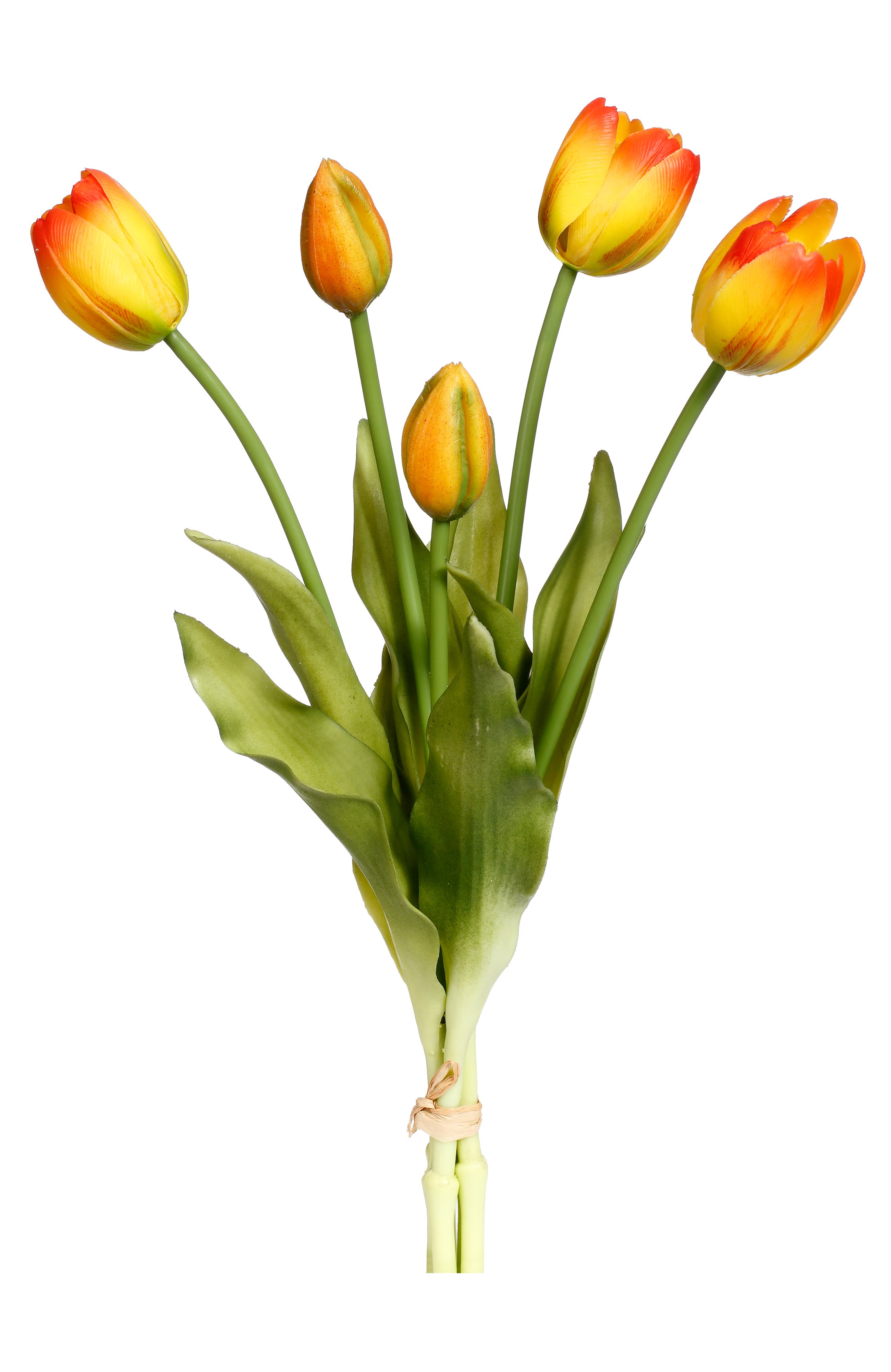 selected Orange