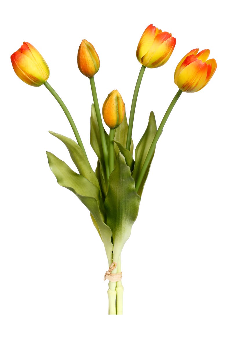 Blooming Tulip Bunch of 5, 6 Bunches Total, Main, color, Orange