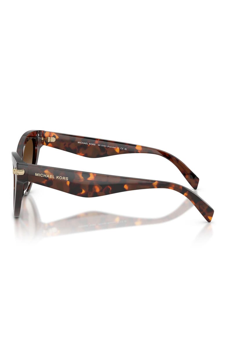 Roanoke 52mm Gradient Cat Eye Sunglasses, Alternate, color, LUGGAGE TORTOISE / SMOKE