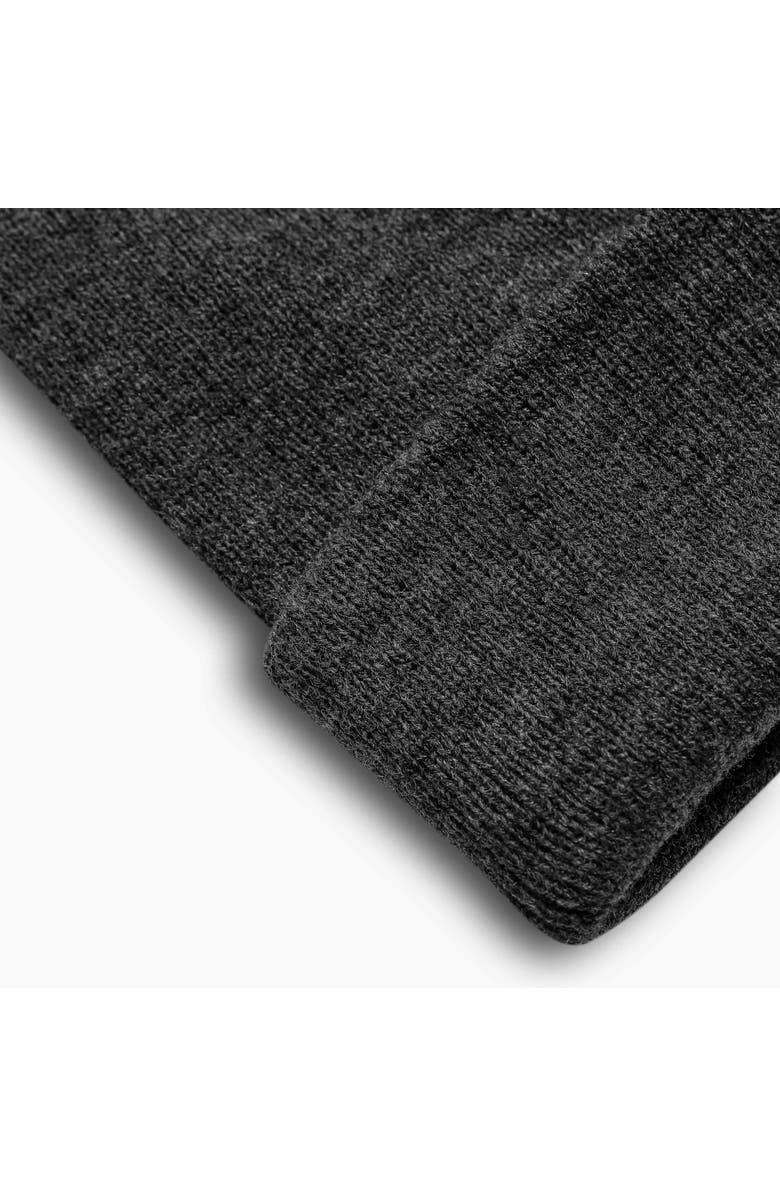 Turtle Fur Explorer Cuffed Beanie, Alternate, color, Charcoal