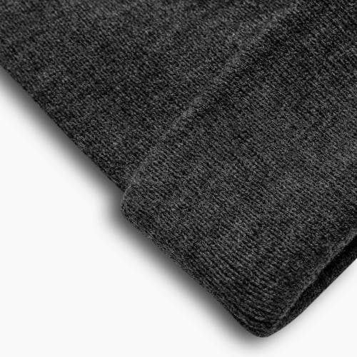 Turtle Fur Explorer Cuffed Beanie In Gray