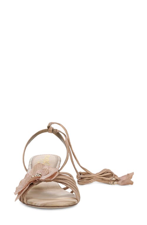 Sam Edelman Carla Lace Up Kitten Heel Ecru Beige Silk In Ecru