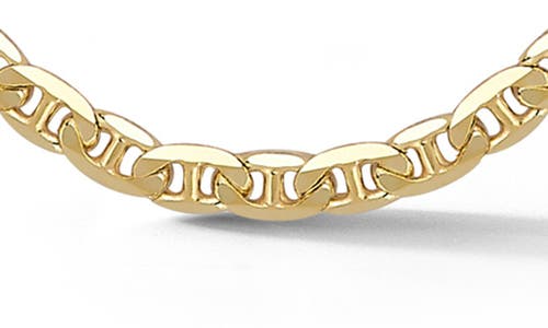 Yield Of Men 4mm Mariner Chain Necklace In Gold