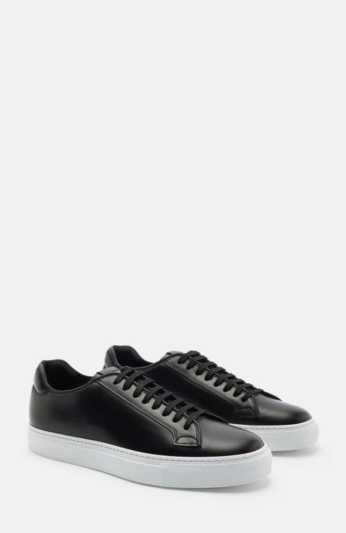 Scarosso Ugo Sneakers