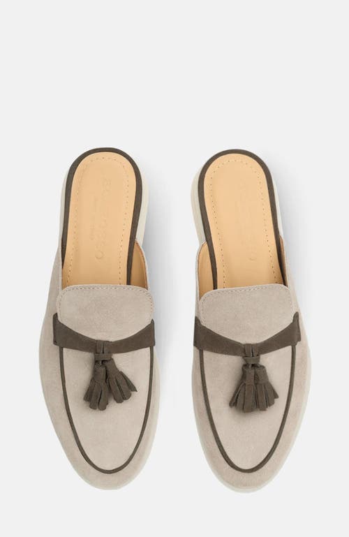 Shop Scarosso Lucrezia Mules
