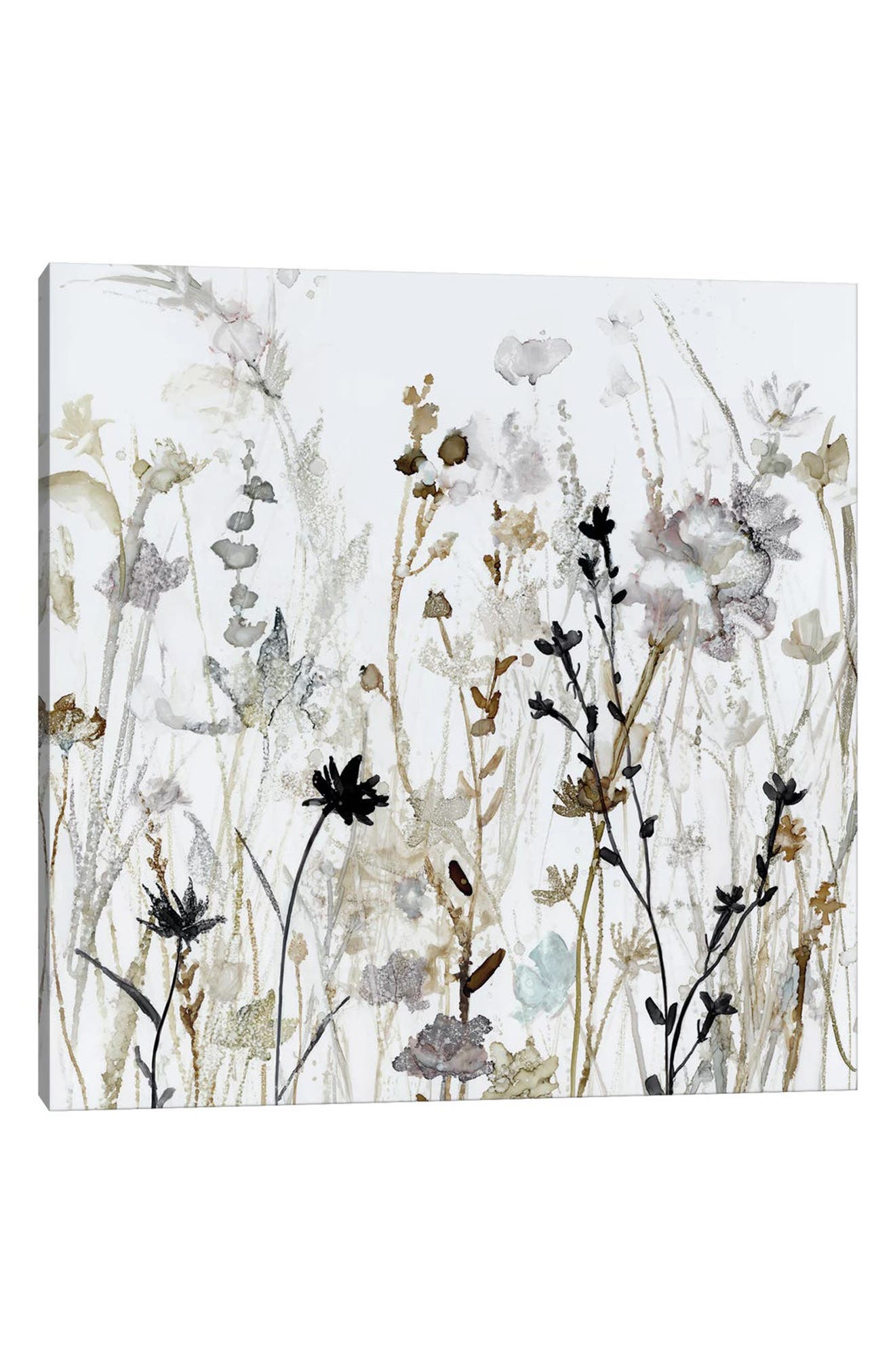 iCanvas Wildflower Mist II by Carol Robinson Canvas Wall Art