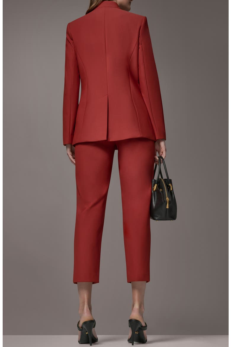 Button Cuff Blazer, Alternate, color, SUNBAKED