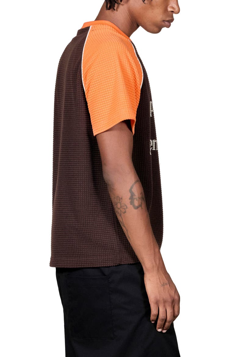 Breed Raglan Cotton Waffle Graphic T-Shirt, Alternate, color, BROWN