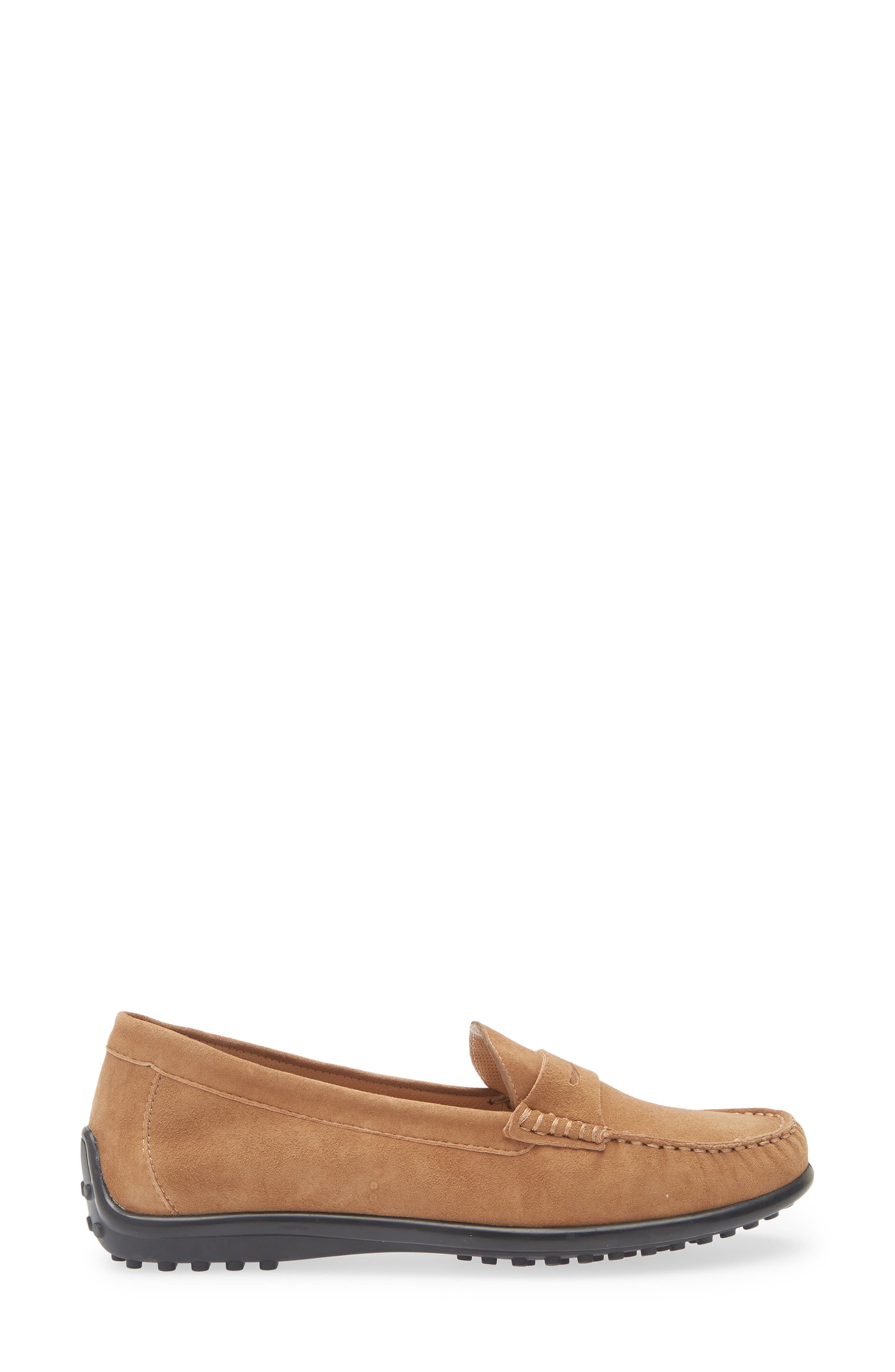 Winter Driving Shoe, Alternate, color, SIGARO CAMOSCIO