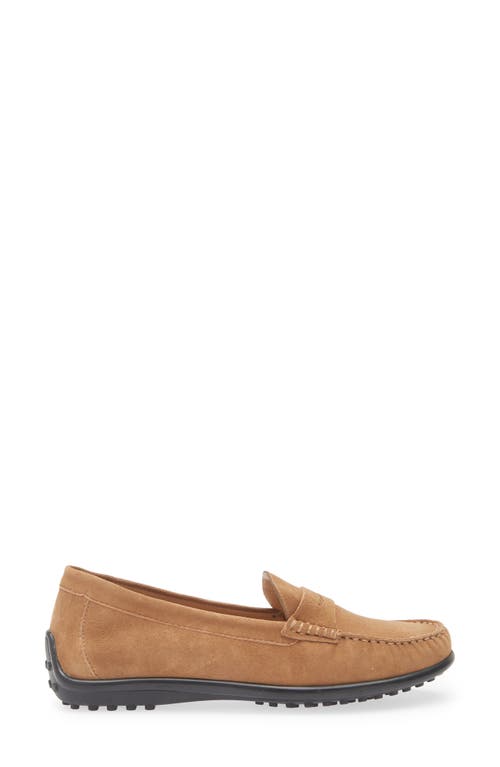 The Flexx Winter Driving Shoe In Brown
