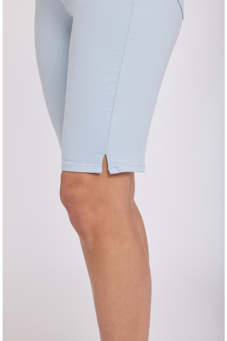 Briella Stripe Denim Bermuda Shorts, Alternate, color, BLUE CLOVER