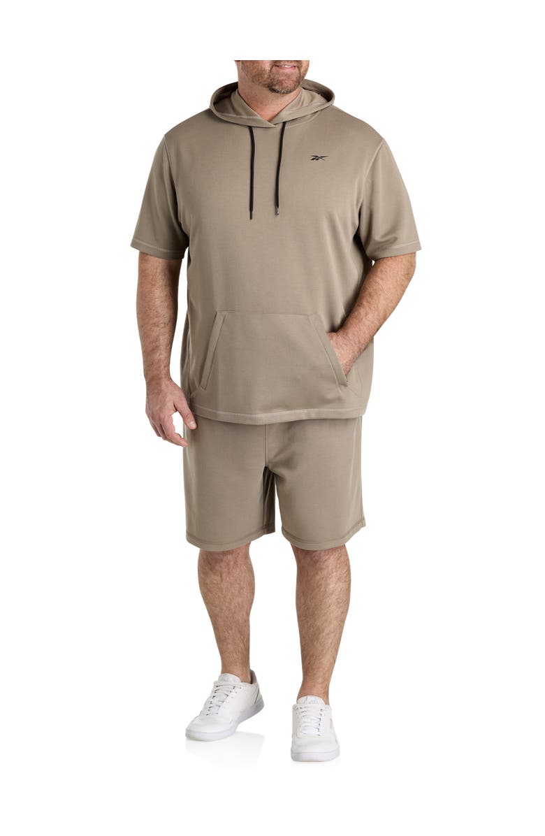 Reebok Big & Tall Performance Hoodie, Alternate, color, Taupe