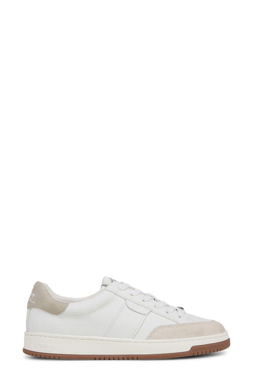 Circus Ny By Sam Edelman Vance Sneaker