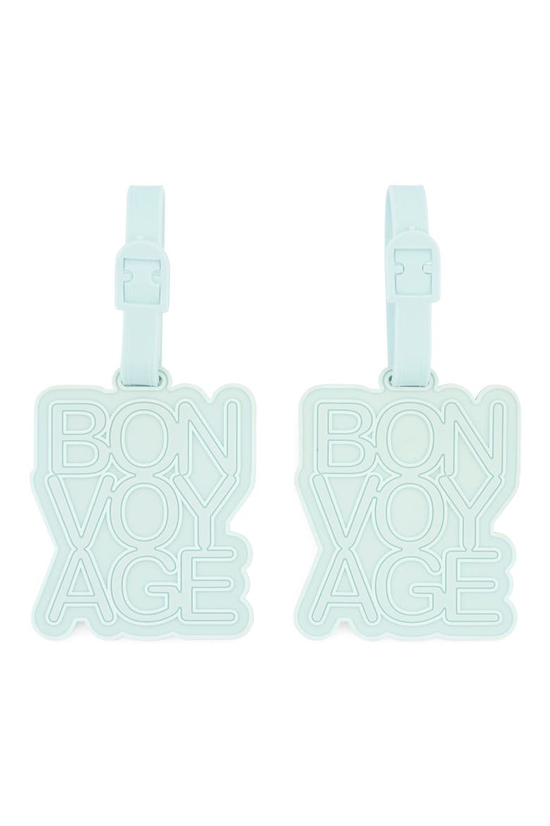 Jetsetter Luggage Tags, Set of 2, Main, color, SKY
