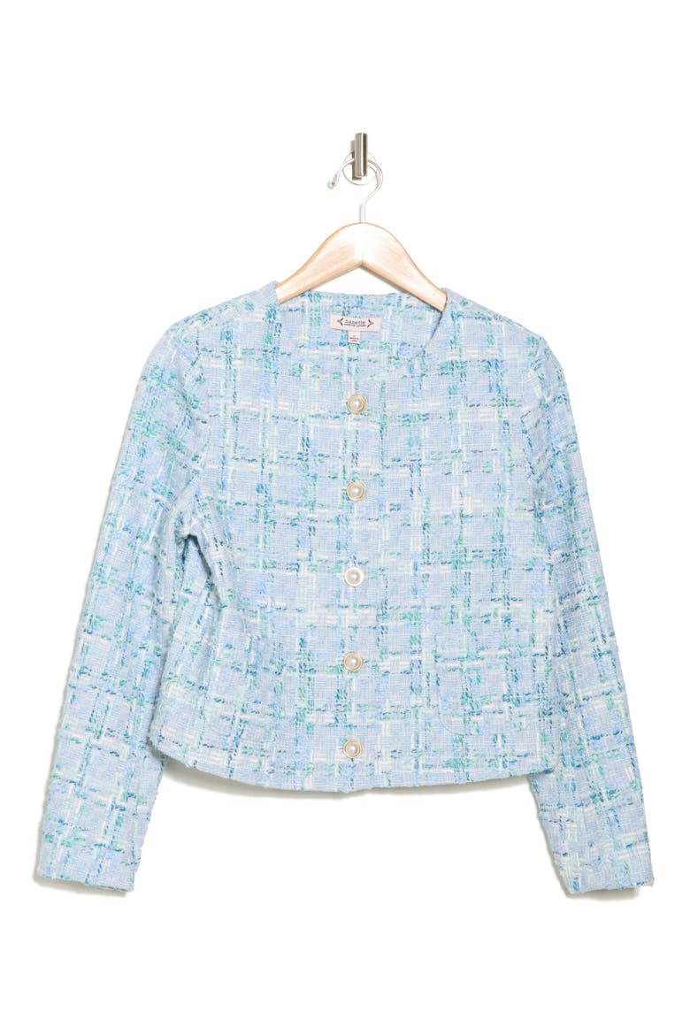 Bouclé Tweed Jacket, Alternate, color, BLUE MULTI