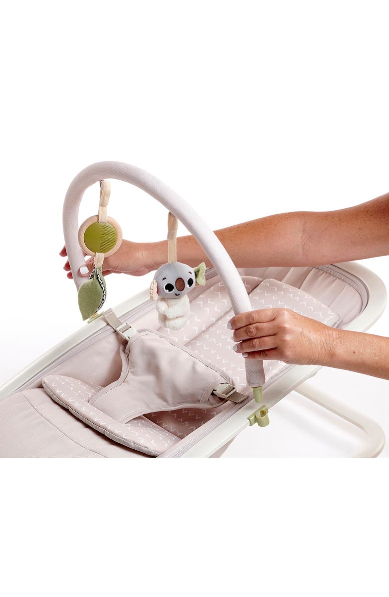 TINY LOVE 2-in-1 Rocker, Alternate, color,
