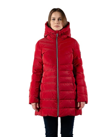 Women's Long Robin Medium Weight Coat EXTRA LONG SLEEVES!