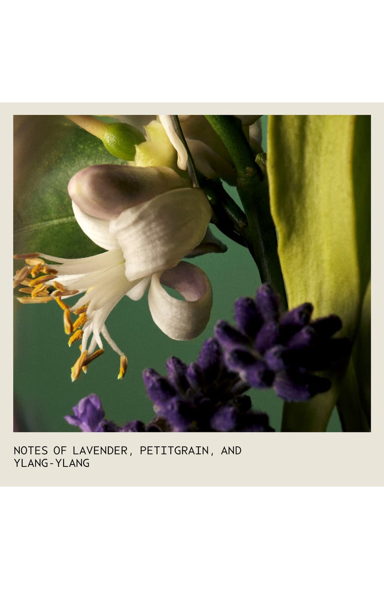 Aveda Tousle Texture Dry Texture Spray, Alternate, color, 