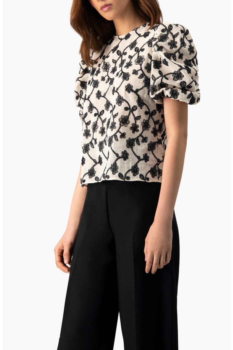Embroidered Puff-Sleeve Blouse, Alternate, color, Natural