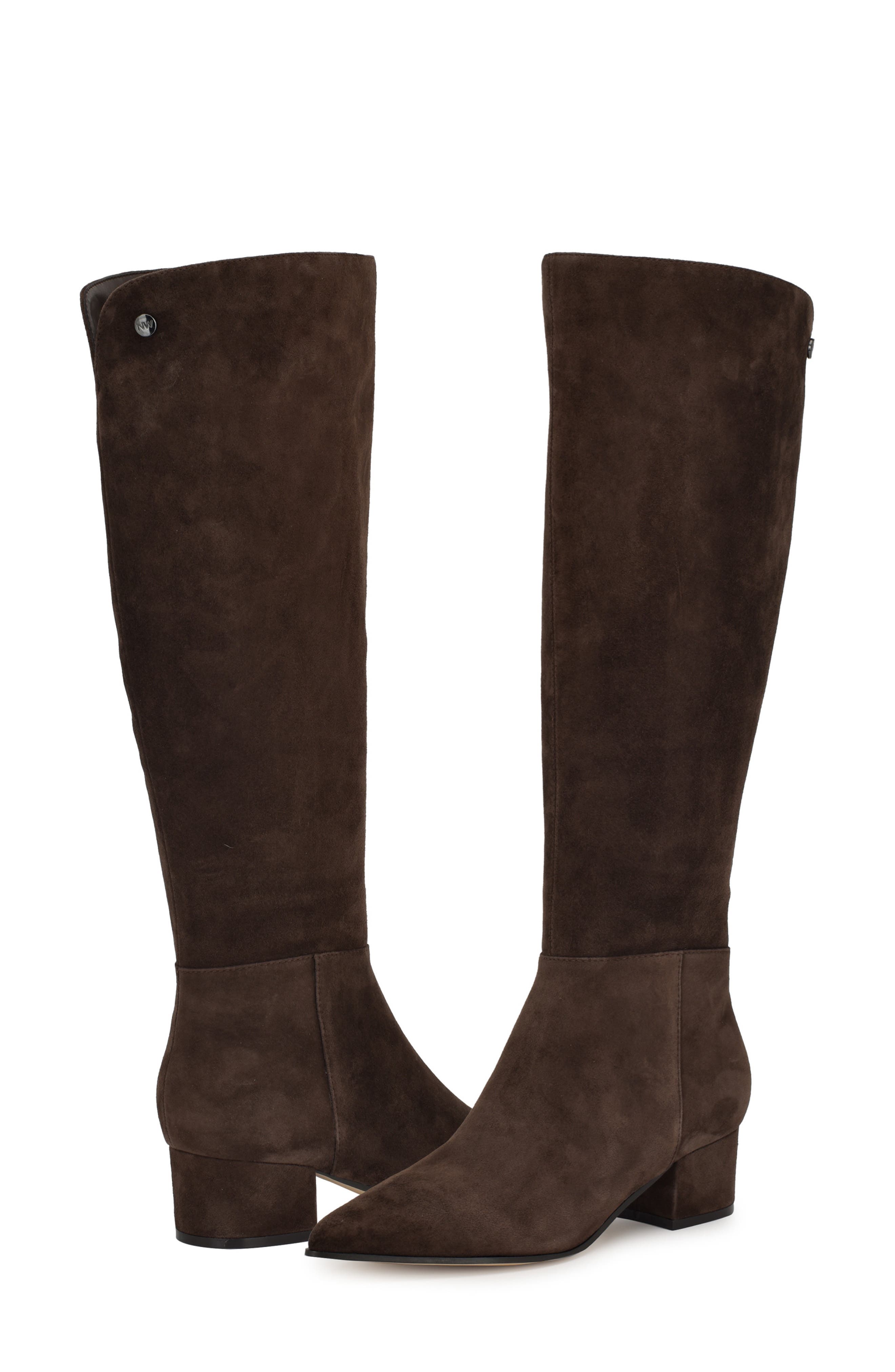 Nine West Morgin Pointed Toe Knee High Boot, Alternate, color, Dark Suede