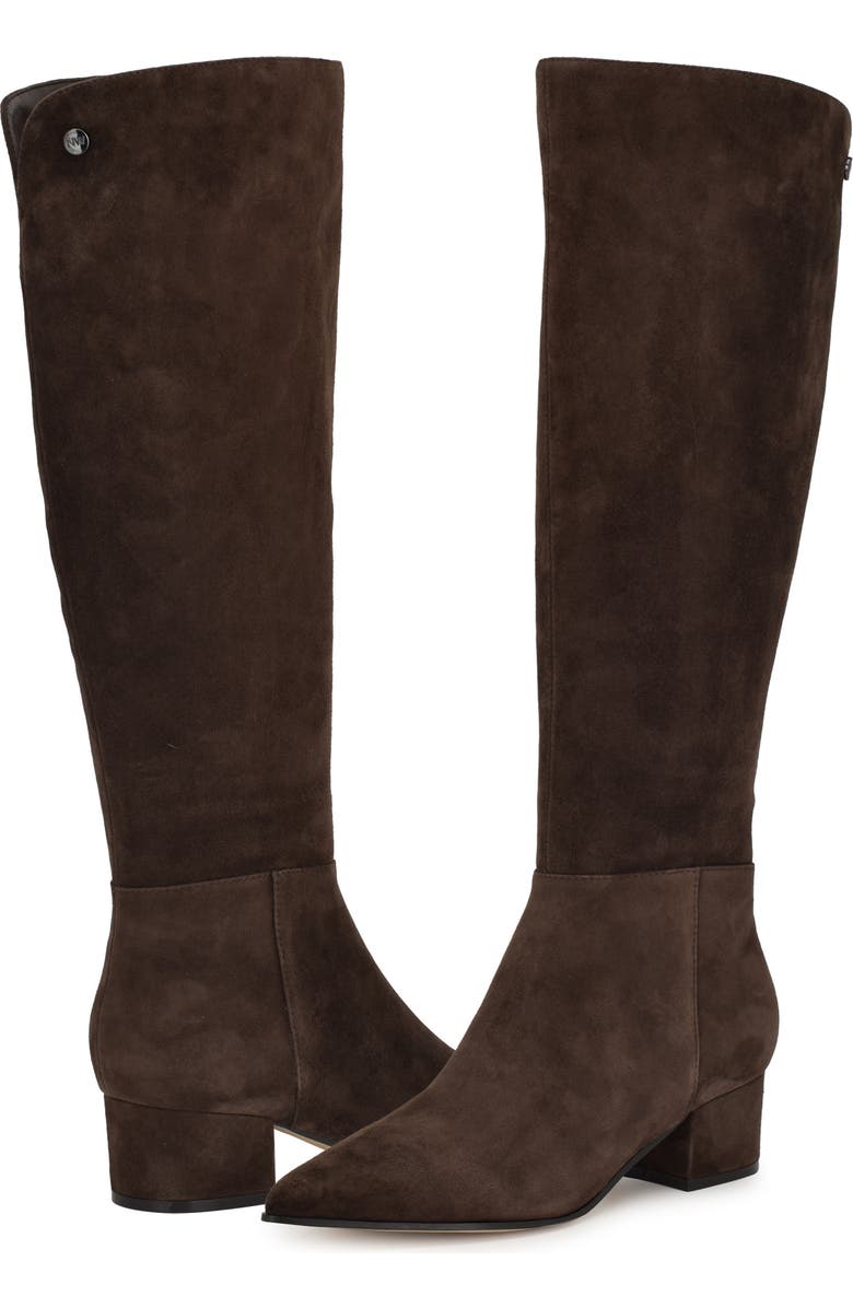 Nine West Morgin Pointed Toe Knee High Boot, Alternate, color, Dark Suede