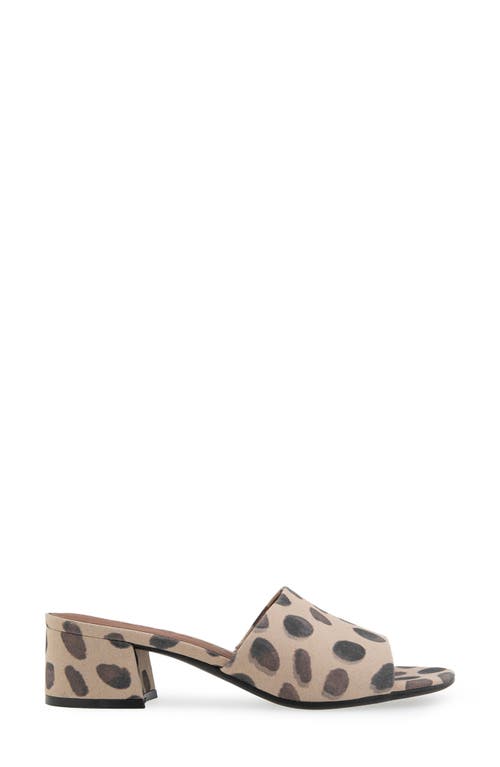 AEROSOLES AEROSOLES COMO SLIDE SANDAL
