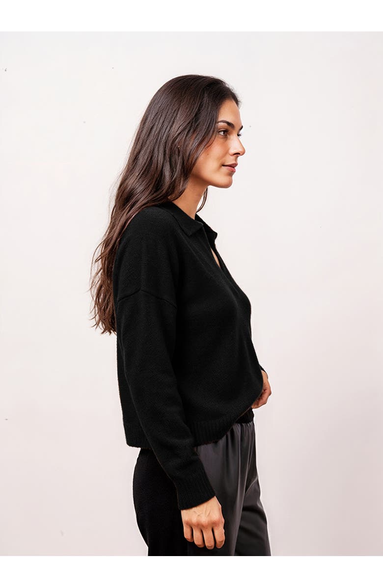 Central Park West Robbie V-Neck Polo, Alternate, color, Black