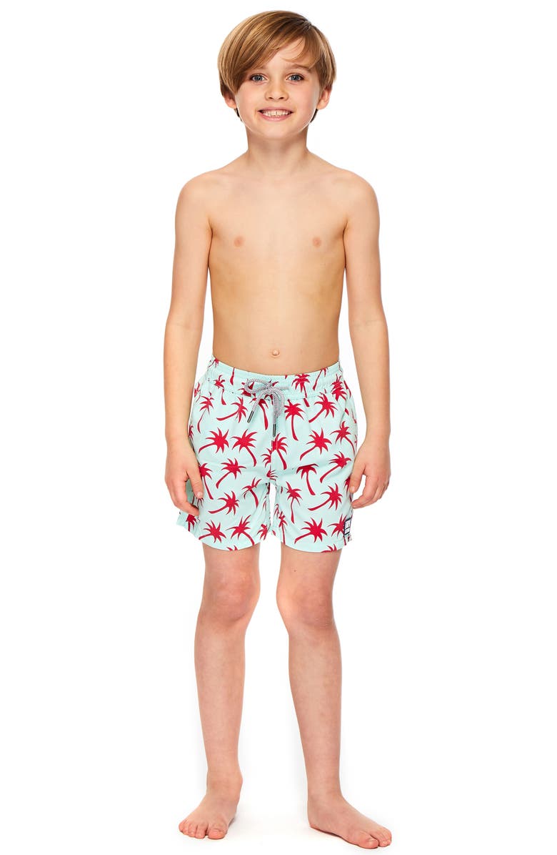 Tom & Teddy Palm Print Swim Trunks, Alternate, color,