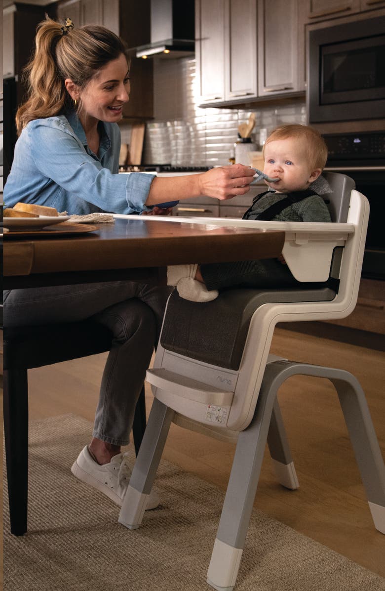 Nuna ZAAZ Highchair, Alternate, color, Frost