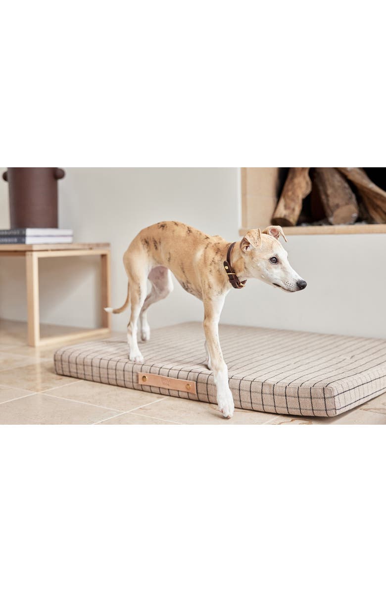 OYOY Robin Dog Collar, Alternate, color, Choko