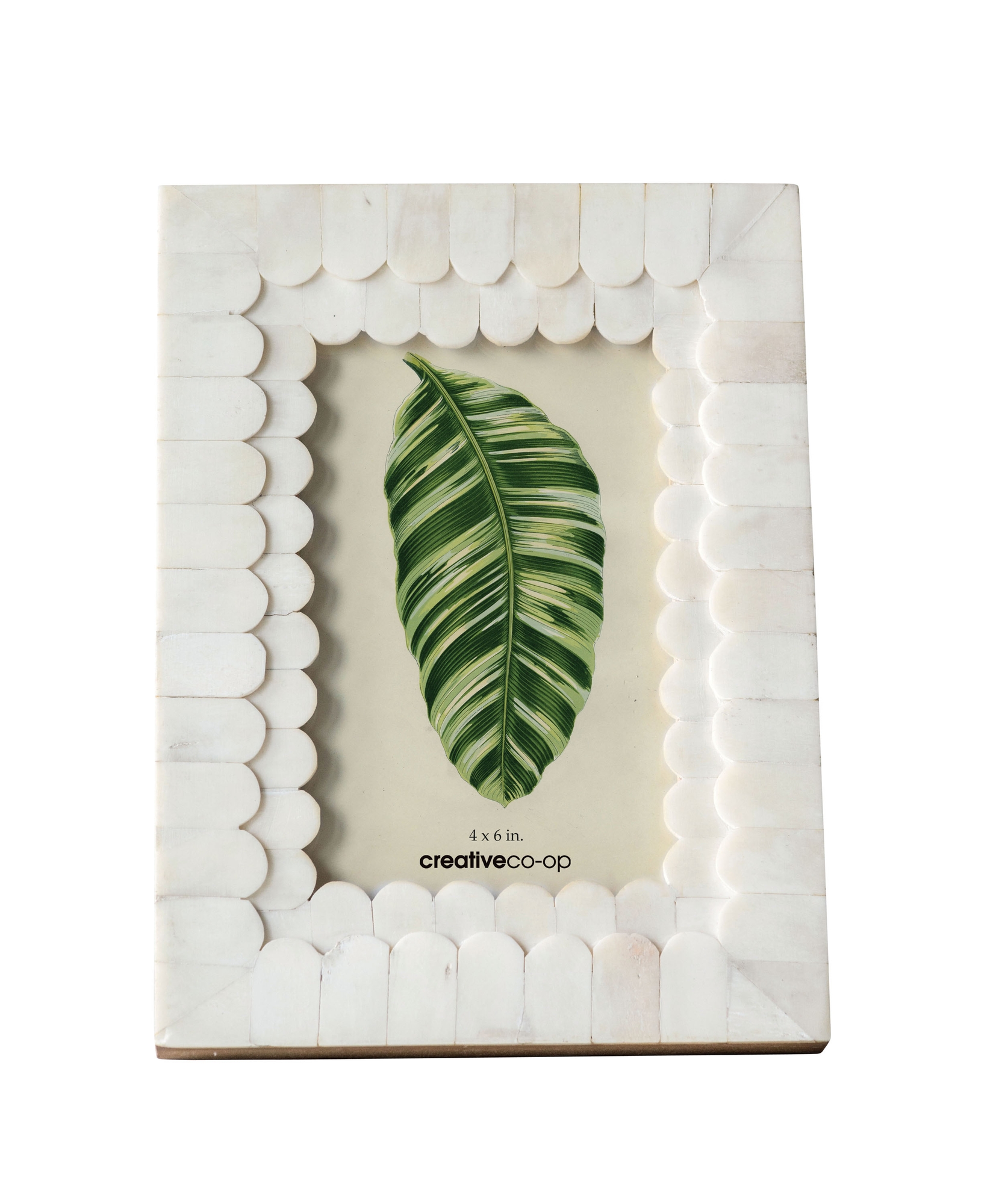 Storied Home Scalloped Photo Frame - White