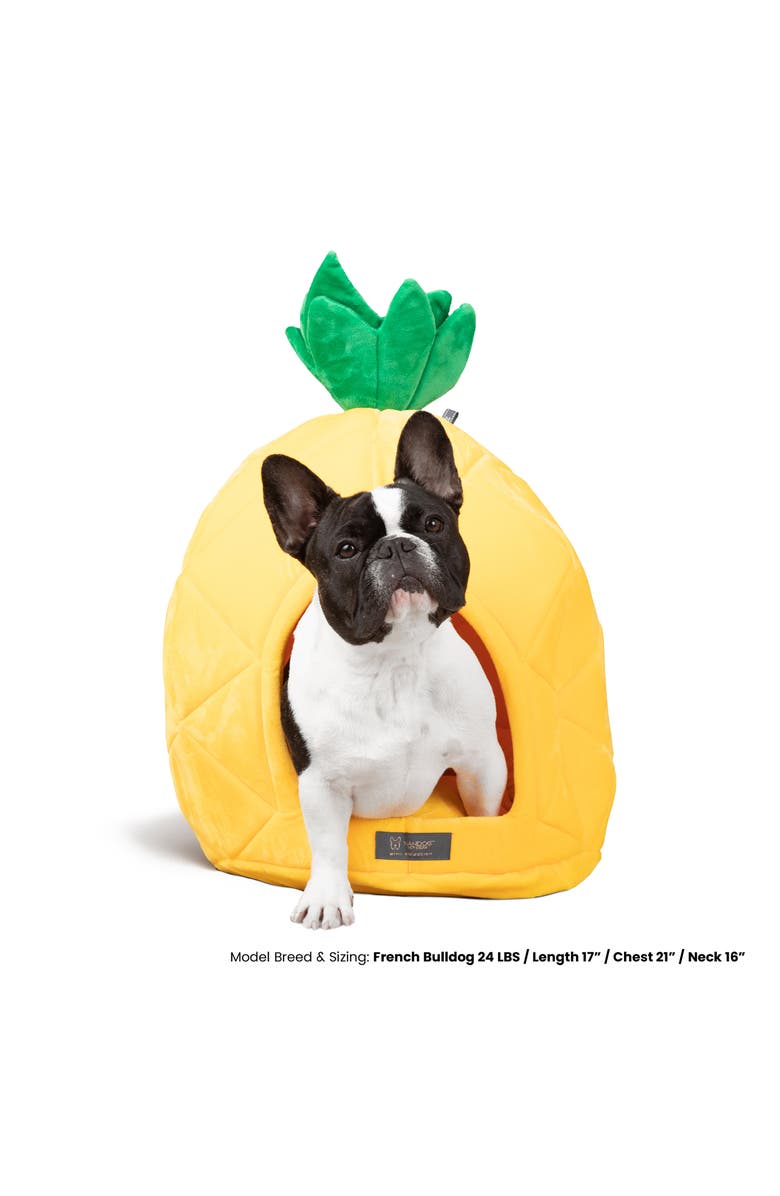 Nandog Pet Gear Fun Collection Dog and Cat Bed - Pineapple Prive, Alternate, color, Yellow