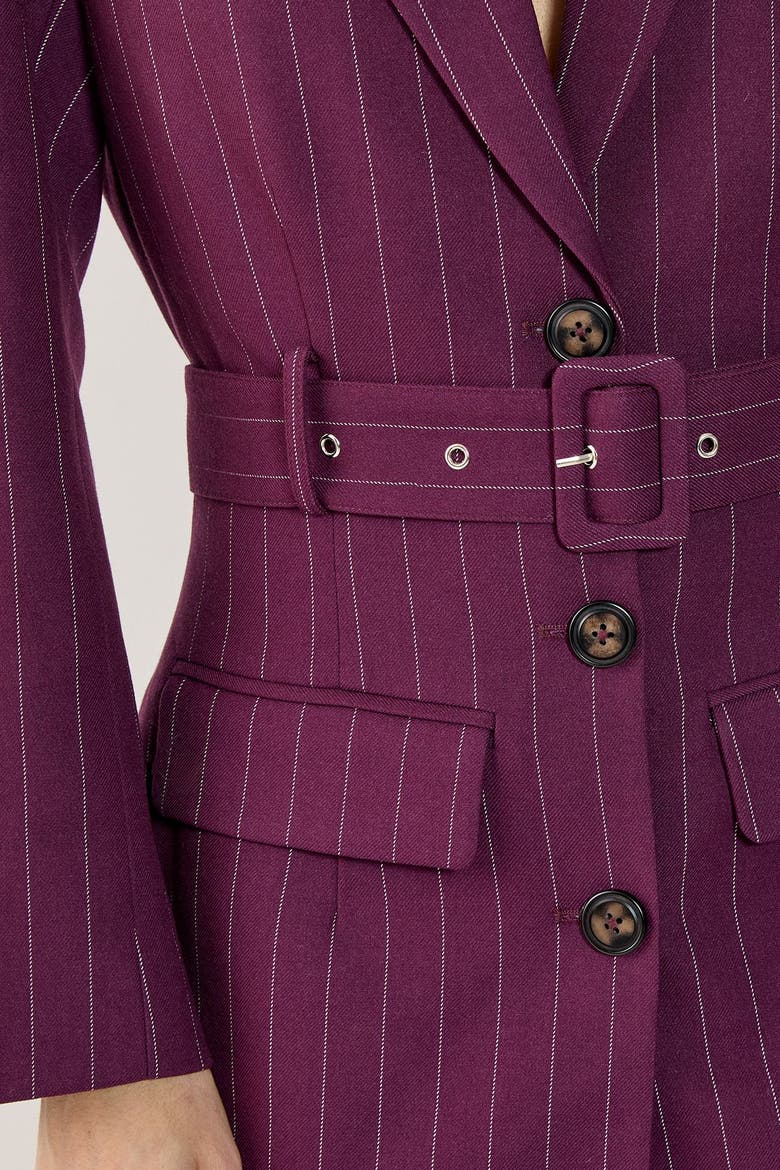 Pinstripe Belted Blazer Dress, Alternate, color, Wine