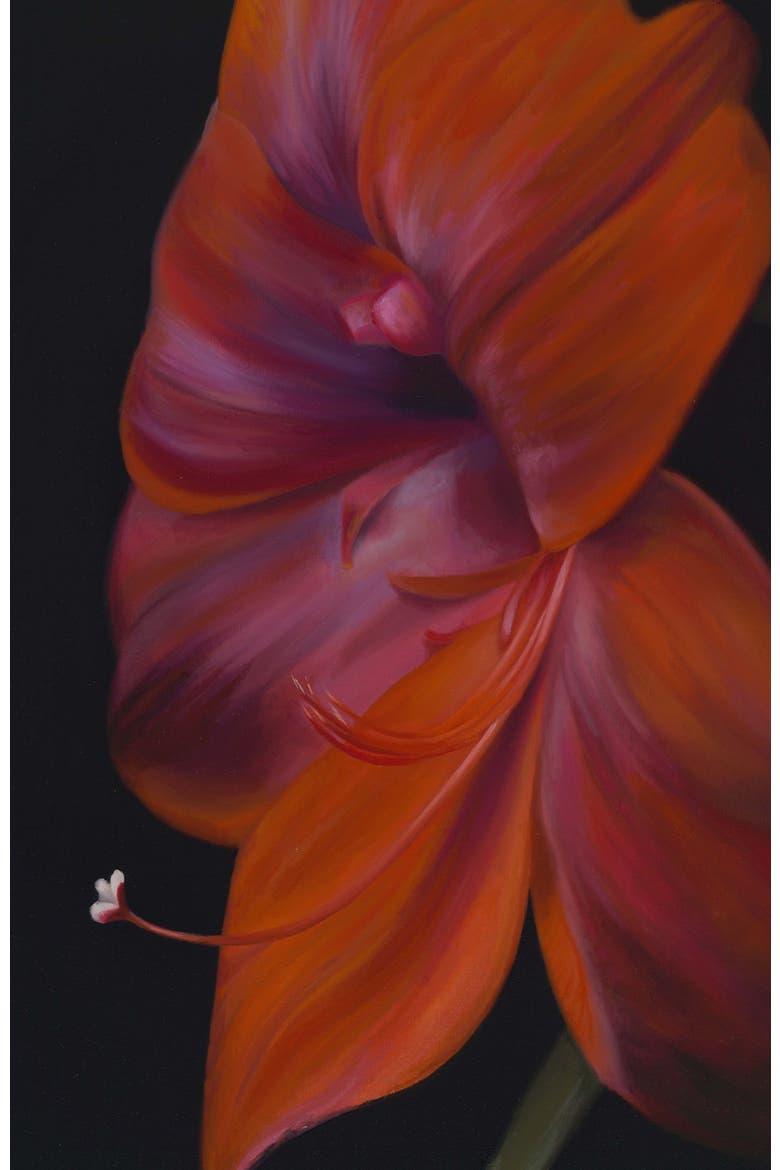 La Belle Dame by Holly Lowen, 8x10 Art Print, Alternate, color, Red