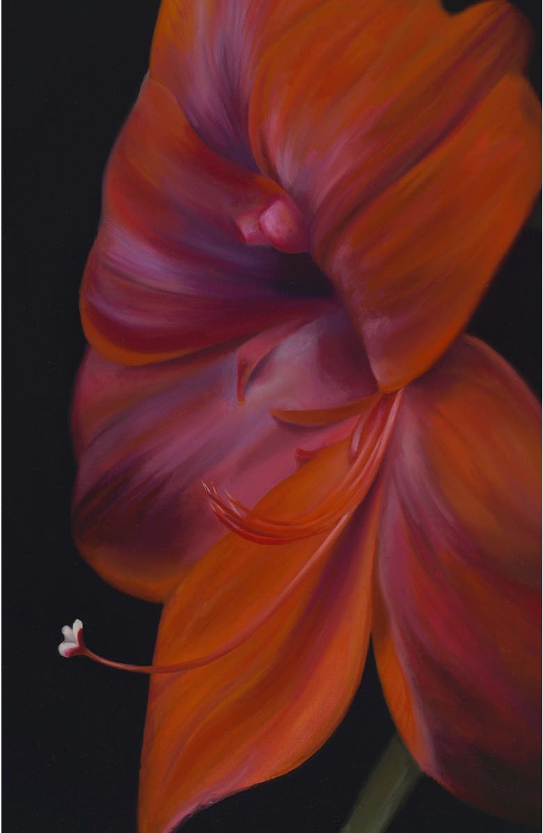 Bond & Grace La Belle Dame by Holly Lowen, 8x10 Art Print, Alternate, color, Red