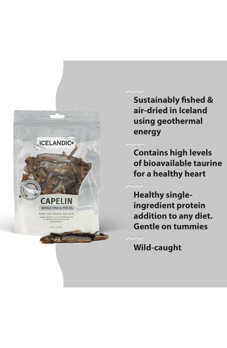 ICELANDIC+ Capelin Whole Fish & Pieces Cat Treat 1.5oz Bag, Alternate, color, Brown