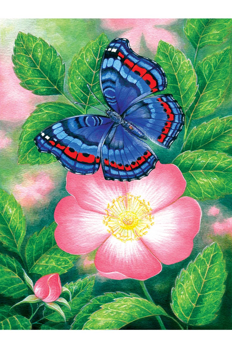 Blue Butterfly 1000 piece Jigsaw Puzzle for Adults, Alternate, color, Multicolor