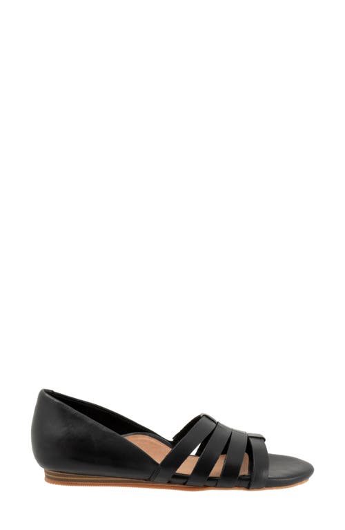 Softwalk ® Cozumel Strappy Sandal In Black