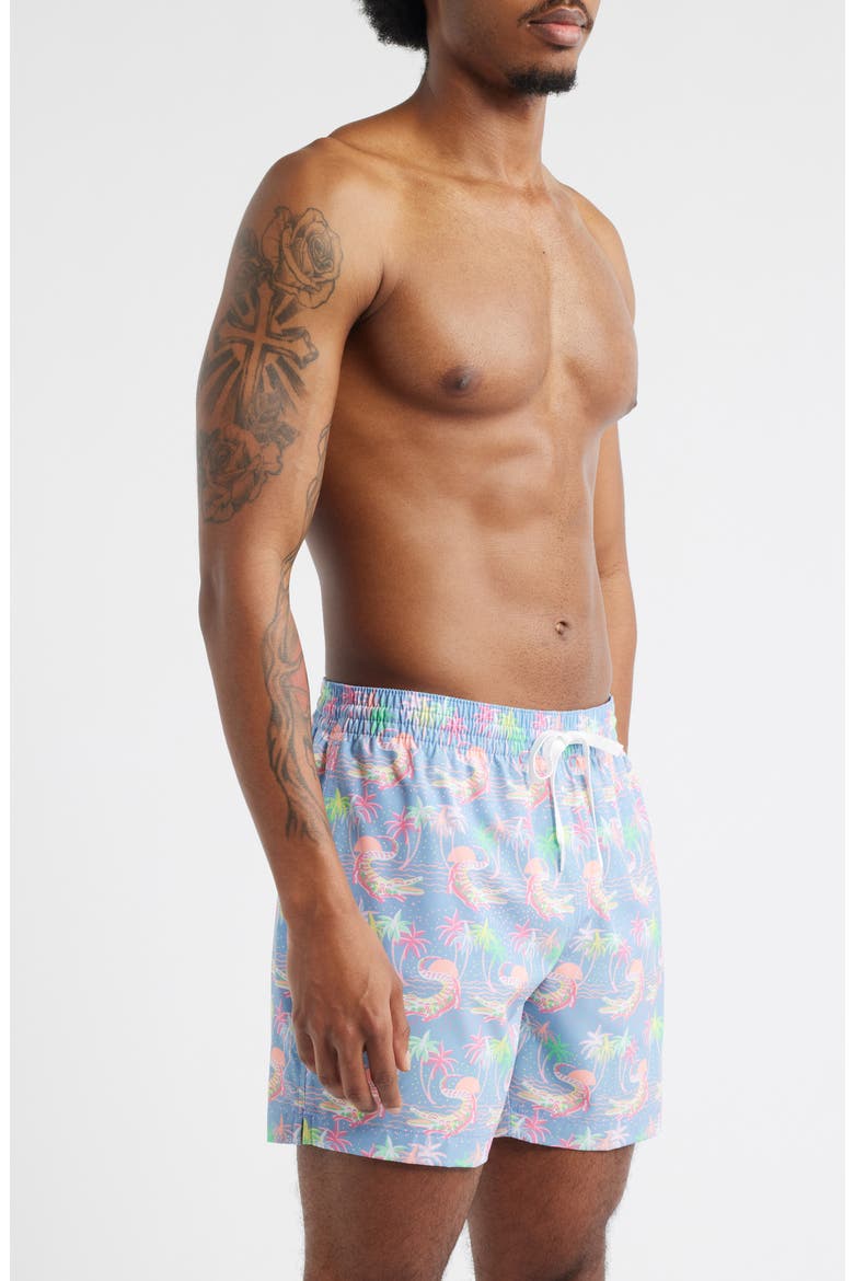 Rock-a-Crocks Lined 5.5-Inch Swim Trunks, Alternate, color, DUSTY BLUE