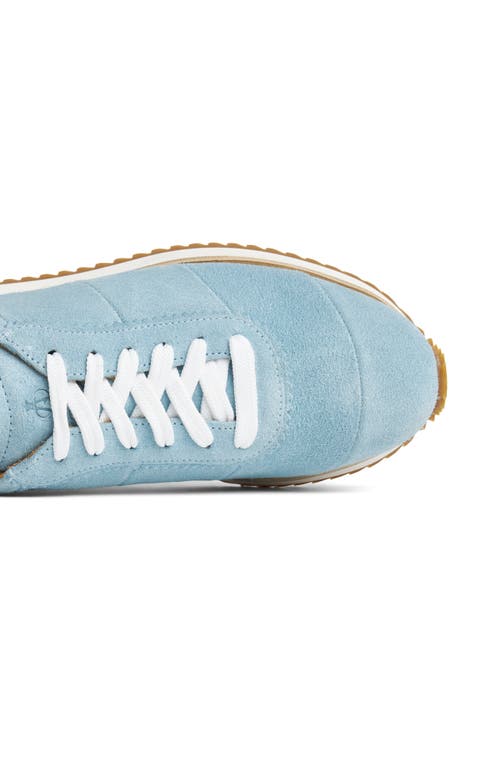 The Office Of Angela Scott The Quinn Felted Wool Sneaker In Sky Blue